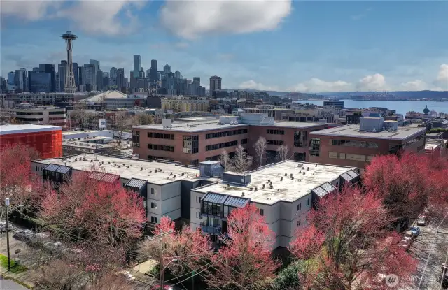Easy access to the city with convenient tranit, bike paths, and  Zip cars right out front.