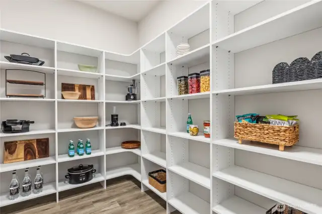 Plenty of storage in your massive pantry!