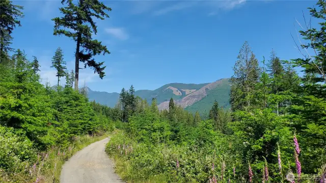 Views while exploring
