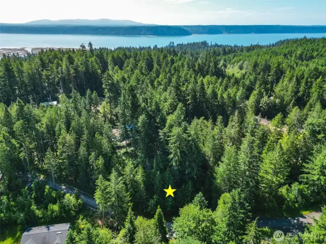 A minute from Hood Canal Access / Community center