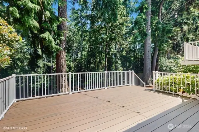 Lower Patio