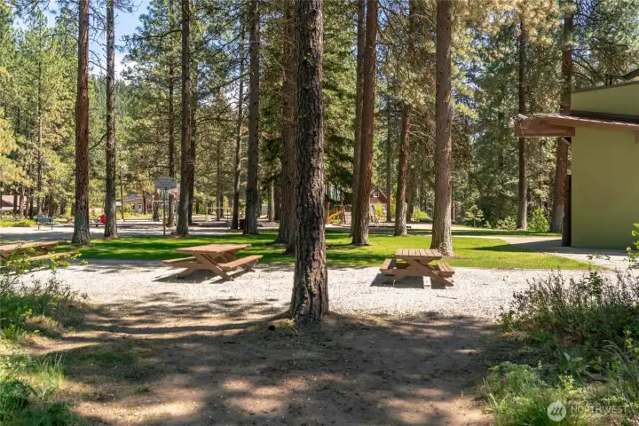 picnic area near playground picnic area near playground