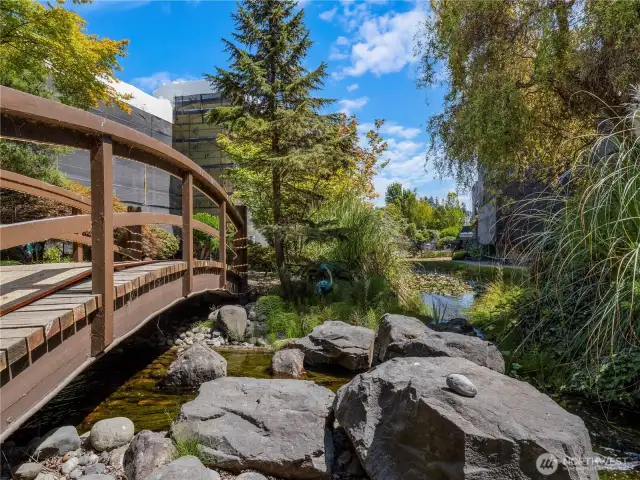 Although the complex is under construction, the courtyard beauty is shining though. Tranquility of a pond hidden from the rest of the world adorns this courtyard.