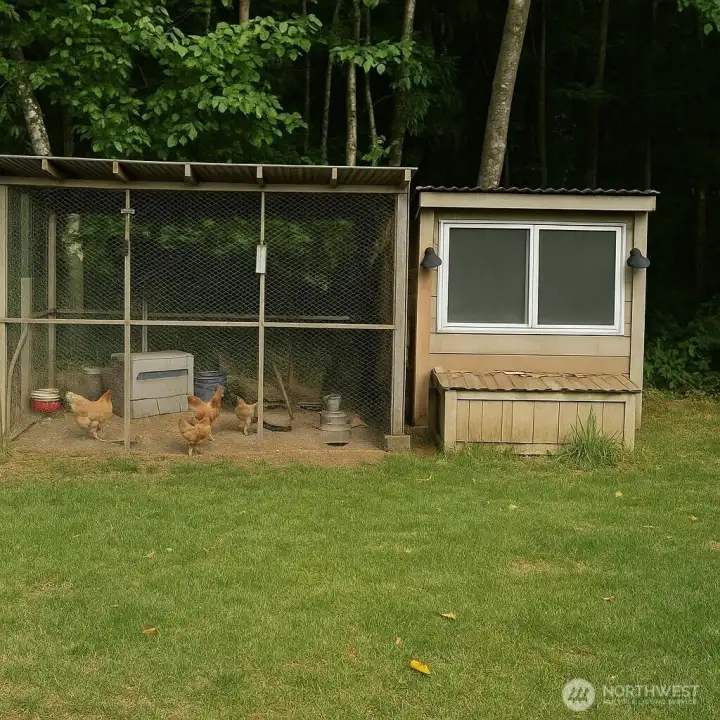 Chicken Coop