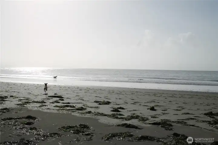 You will live walking  to and ---