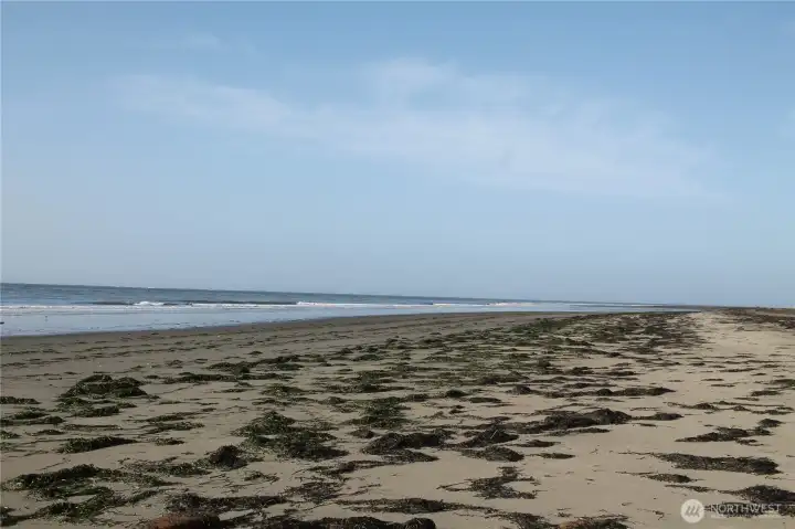 -- beach on Willapa --