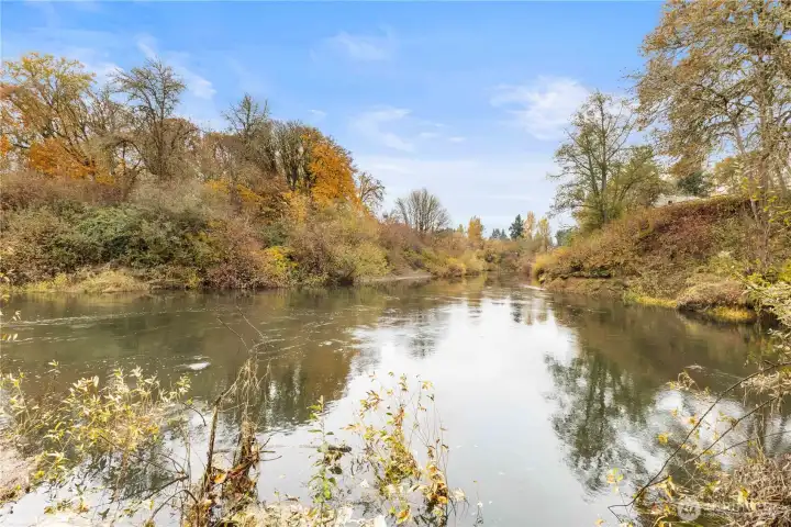 Seasonal beauty with changing foliage.