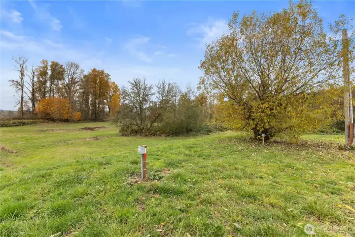 Expansive land with plenty of room to roam.