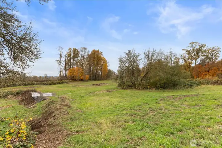 Sun-drenched open field ideal for gardening or play.