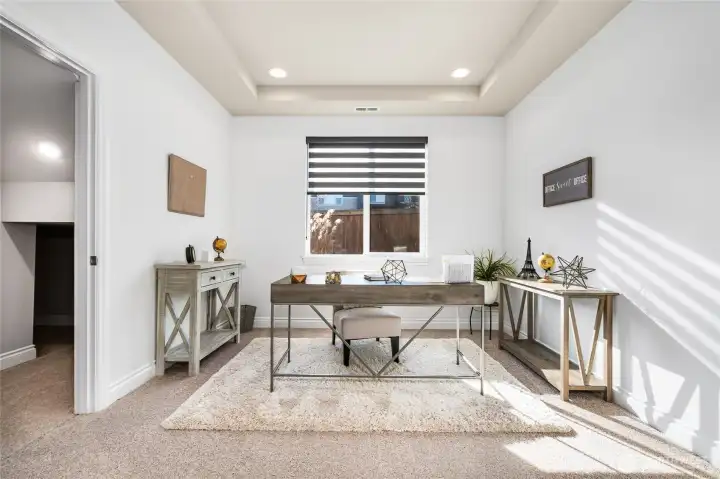 Main level bedroom or office with large walk-in closet.