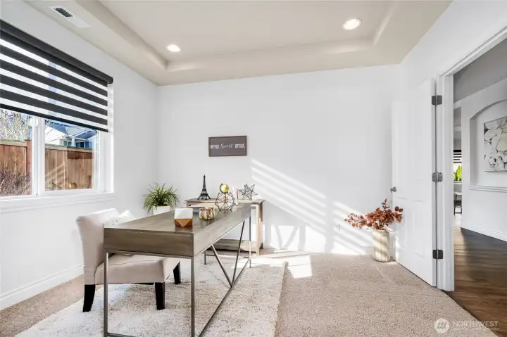 Main level bedroom or office with large walk-in closet.