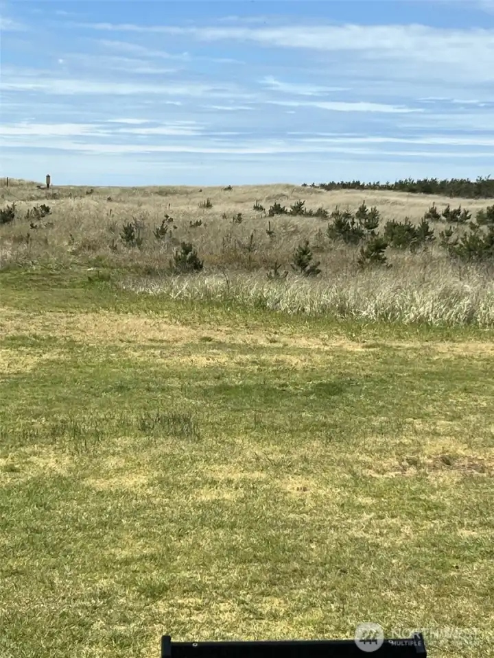 View from Living room