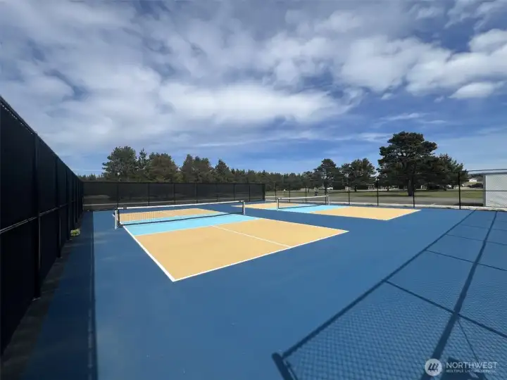 Pickleball angle 3