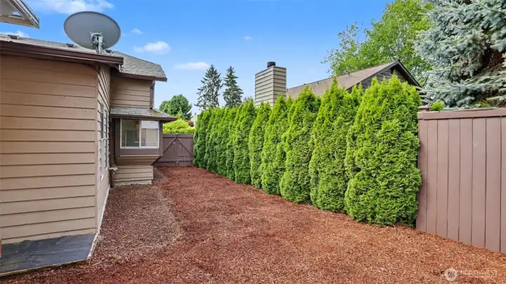 Wide side yard with double-door gated access to the backyard-ideal for boat or vehicle storage, utility access, or a dedicated pet area.