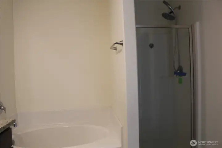 both shower and tub in primary bathroom both shower and tub in primary bathroom