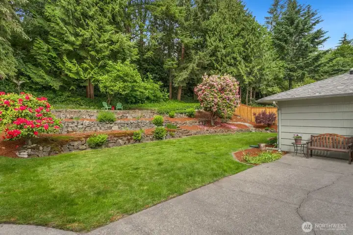 Layered garden terraces connect with winding paths and established plantings.