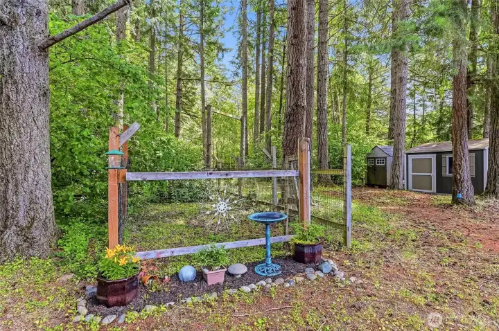 Sweetly fenced area ready for chicken coupe or dog run! Sweetly fenced area ready for chicken coupe or dog run!
