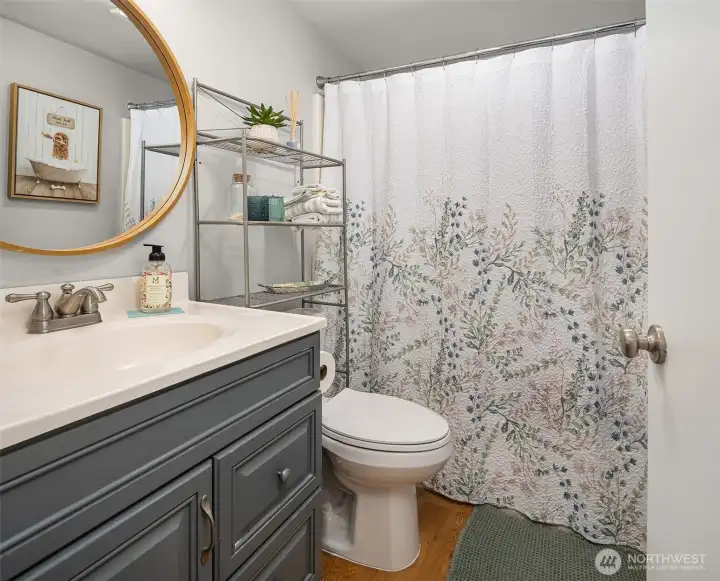 Lower level full bathroom.