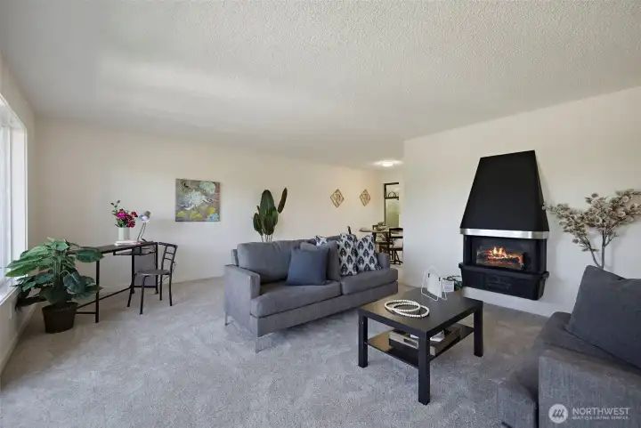 Living Room looking South