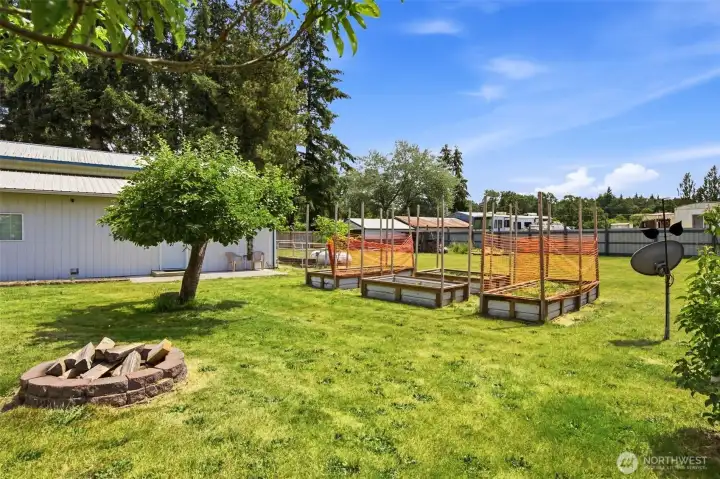 Garden Space and producing apple tree!