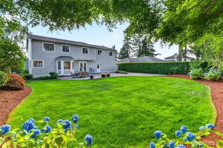 Fully fenced backyard perfect for play and entertaining Fully fenced backyard perfect for play and entertaining