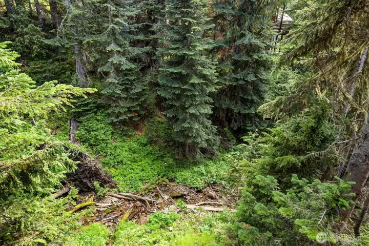 Creek/stream view from back deck