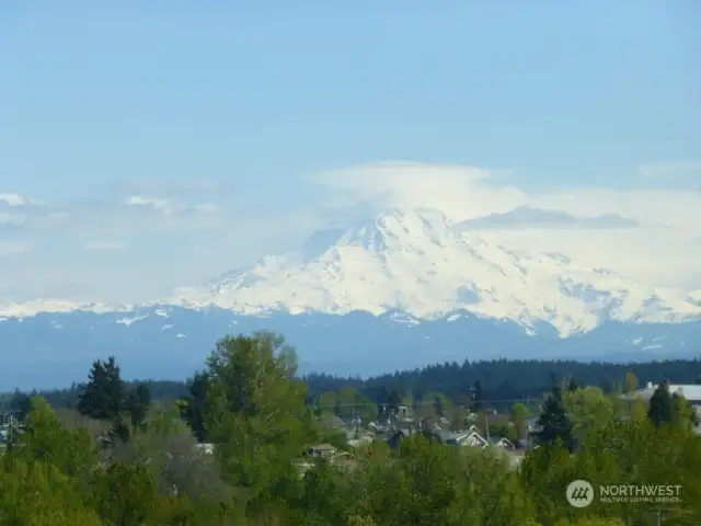 Mt. Rainier view from unit