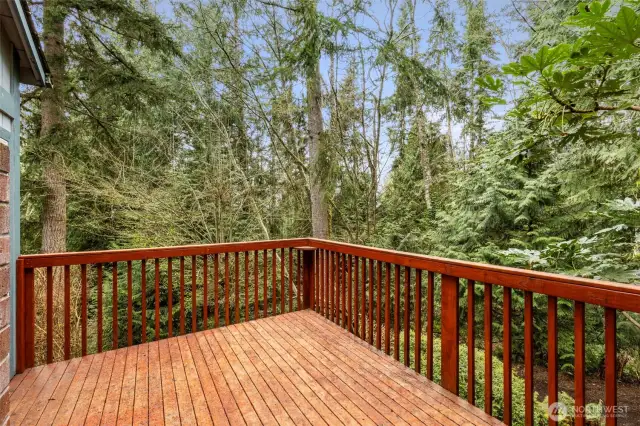 Get lost in the drama of spectacular pink sunsets from the generous rear deck.