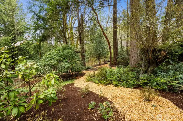 Explore the meandering pathways woven throughout the secluded property.