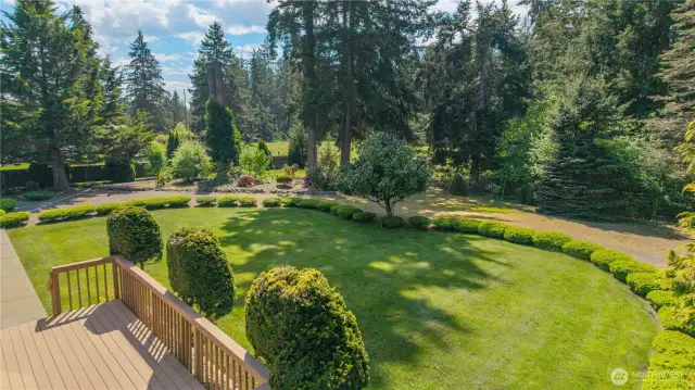 Aerial view from the back