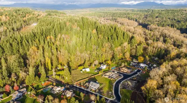 Aerial view of Tolt Place