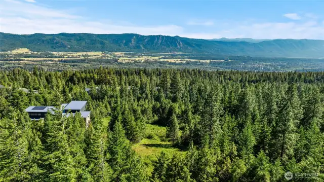 Aerial view of Skyline Ridge and homesite