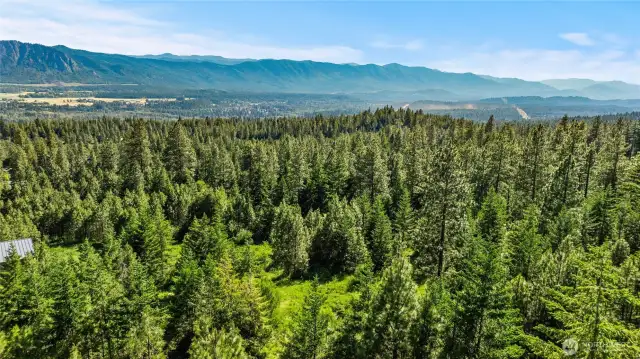 Aerial view of Skyline Ridge and homesite