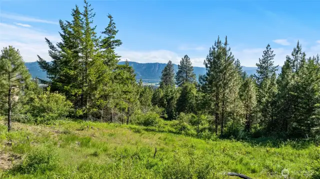 Land view of Lot 29 facing south