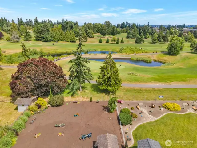 Elevated view of the backyard