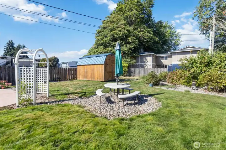 Backyard