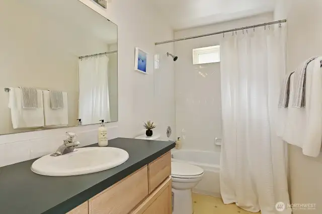Lower level bathroom.