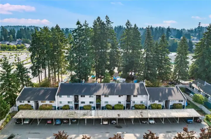 This aerial view shows off the mature Northwest trees on the back perimeter of the condo complex, providing shade and beauty.