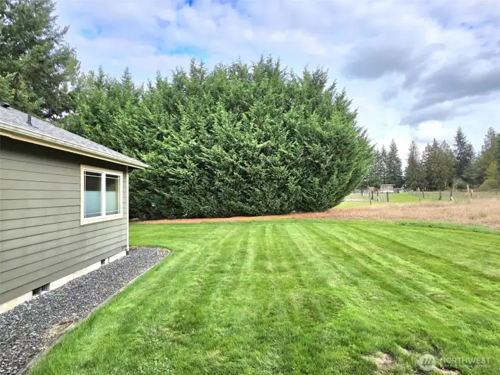 Back yard.  Full sprinkler system
