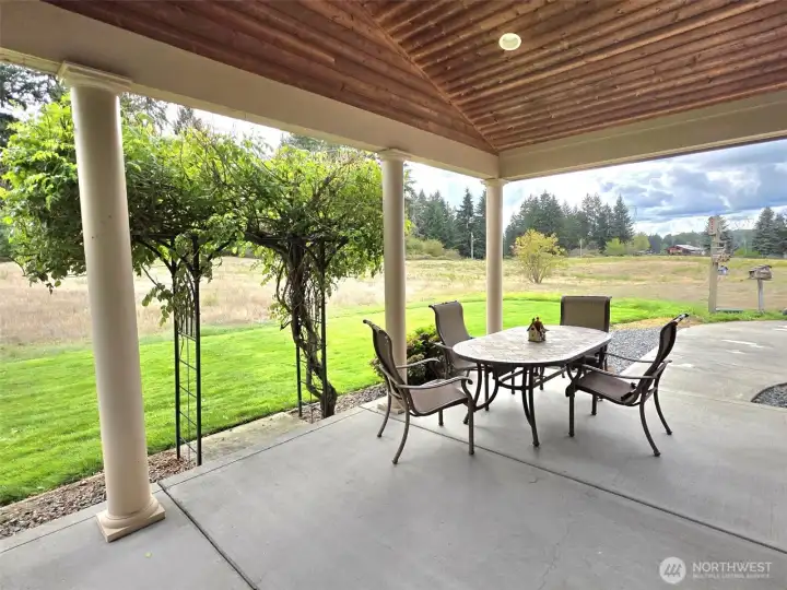Covered back porch.  tongue and groove wood ceiling.
