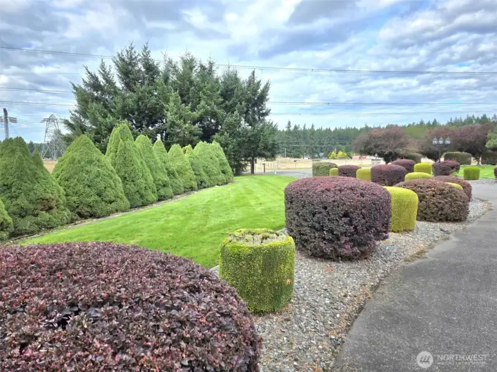 Beautiful mature landscaping.  Sprinkler system