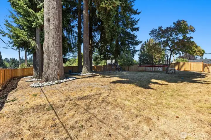 Huge side yard, plenty of room to build DADU, shop or ?