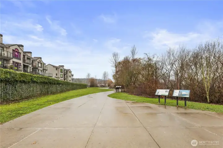 Path to the Dock and STUNNING Lake Views