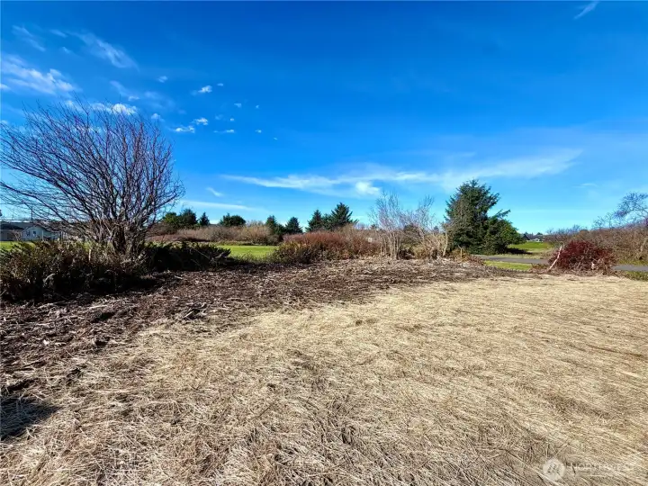 Side Yard facing the Golf Course
