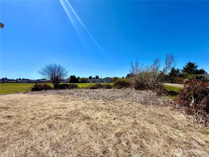 Side yard looking towards the golf course