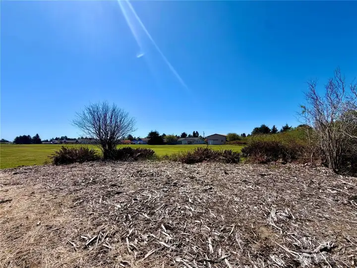 Side yard looking towards the golf course