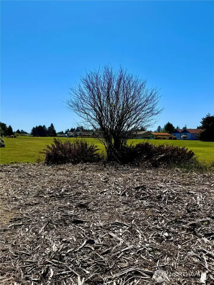 Side yard looking towards the golf course