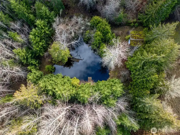 Aerial View of Pond