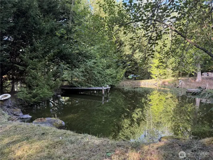 Pond and dock Pond and dock