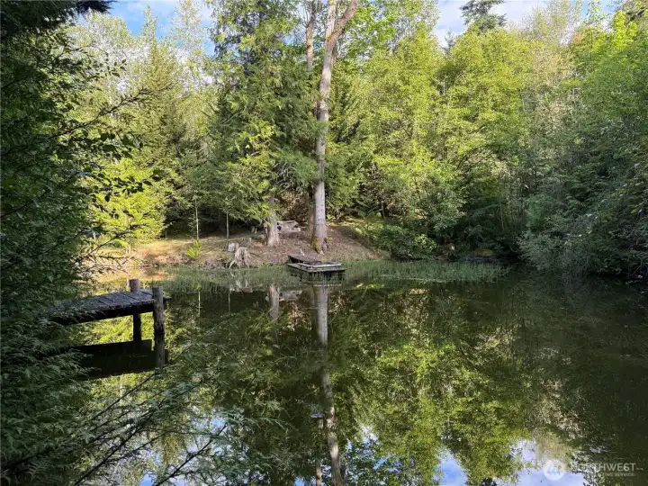 Imagine relaxing by the pond Imagine relaxing by the pond